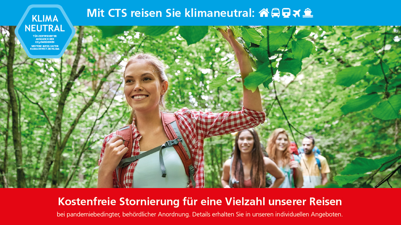 Anfrage Klassenfahrten Schülergruppe beim Wandern im Wald während einer Klassenfahrt