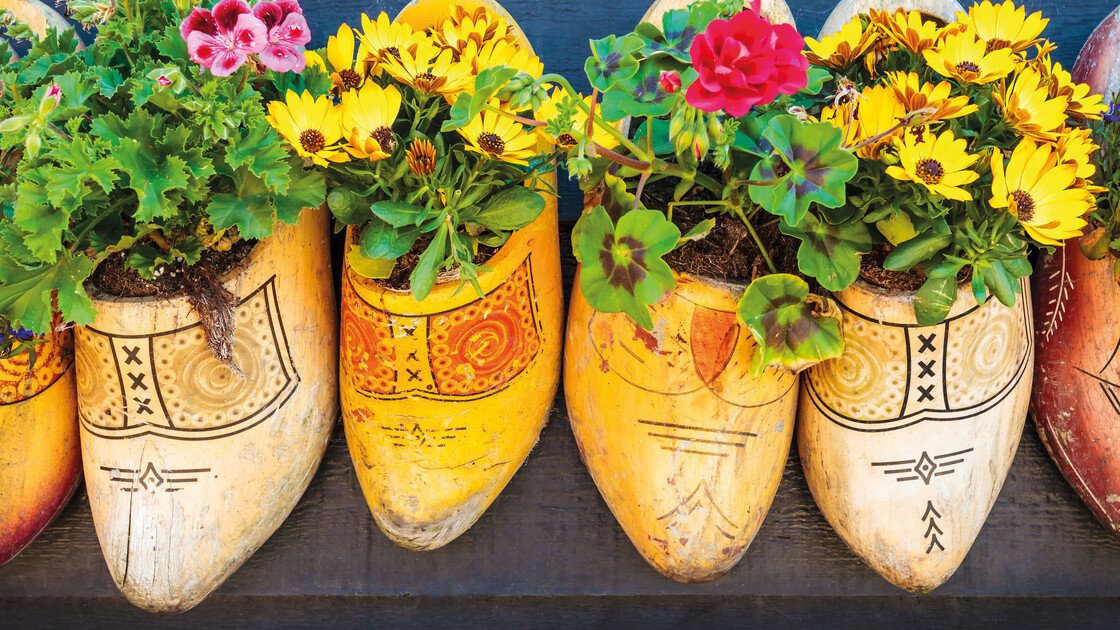 Holzschuhe aus Holland mit Blumen bepflanzt