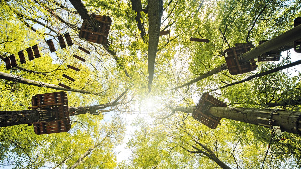 Schüler im Kletterpark