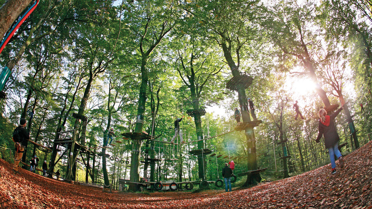 Kinder im Kletterpark