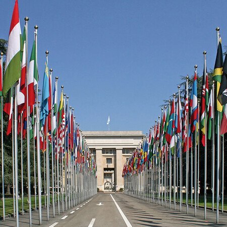 Besichtigung der Uno