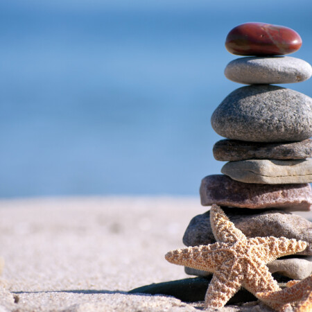 Alle Programmbausteie auf einen Blick