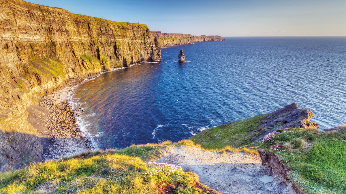 Schafe bei den Cliffs of Moher