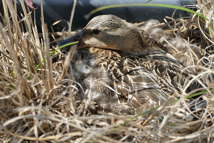 CTS-Reisen wartet auf den Nachwuchs