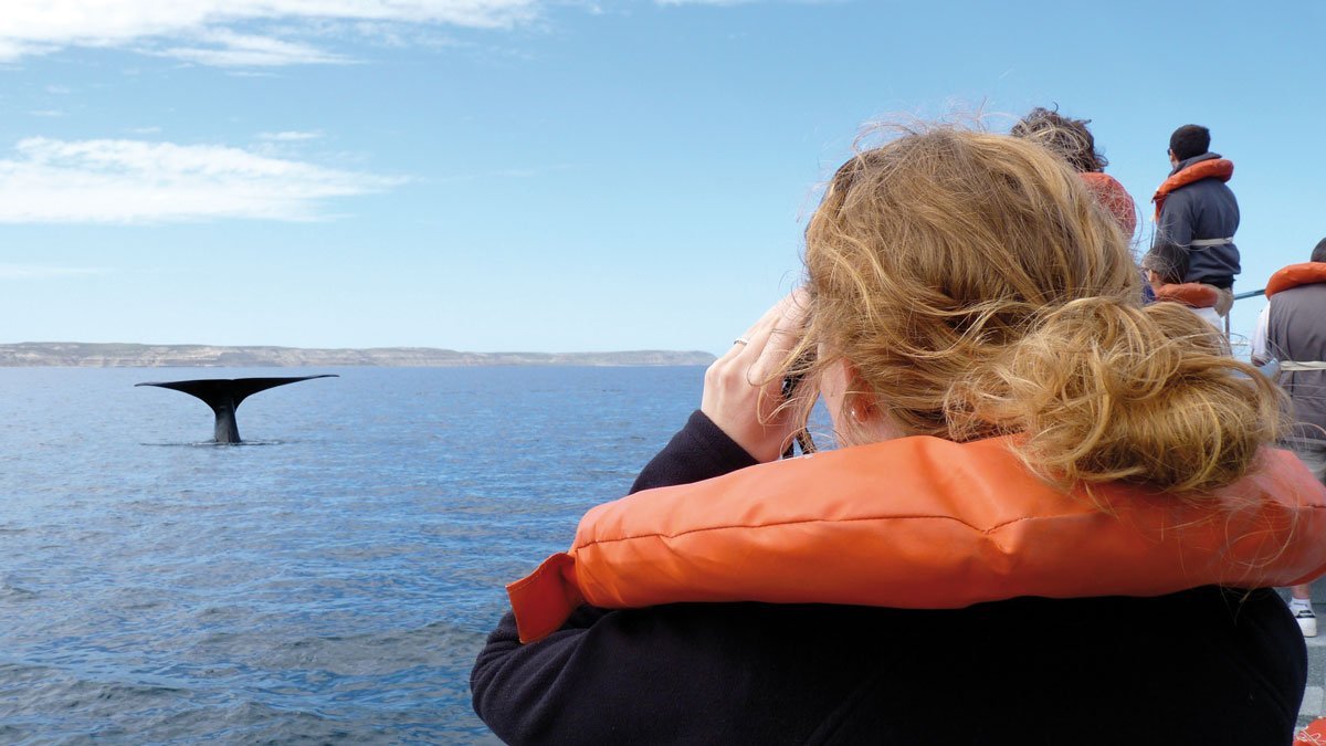 Klassenfahrt Tarifa Schülerin beim whale watching