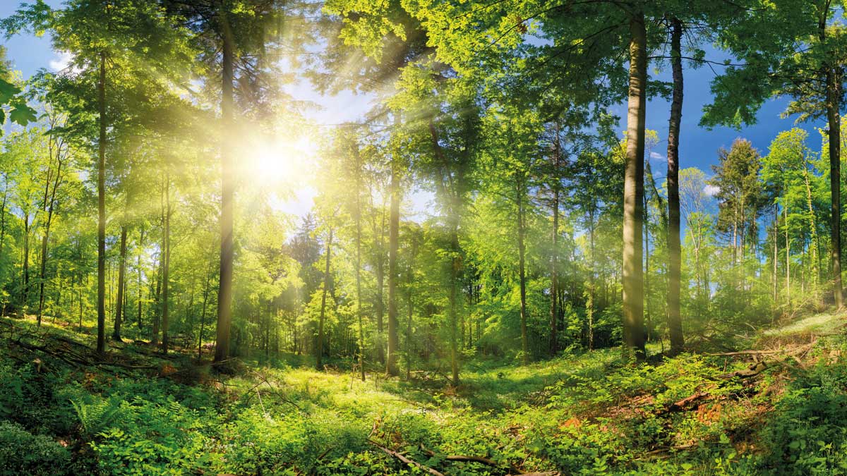 Klimaneutrale Reisen mit CTS Aktiv Klimaschutz betreiben!