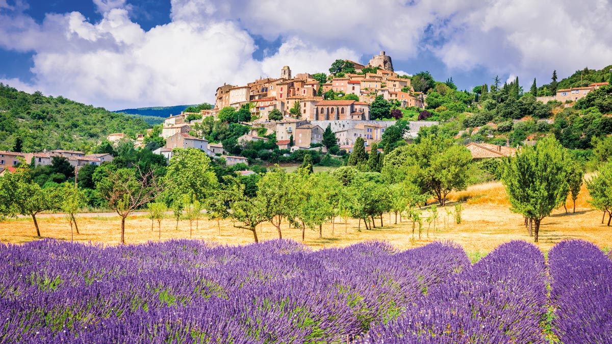 Lavendelfeld vor einem kleinen Dorf in der Provence