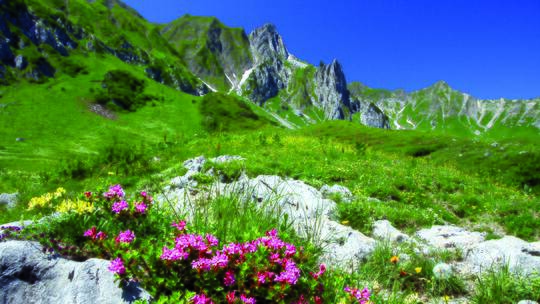 4 Klassenfahrt Zugspitzregion JugendherbergeOberammergau Landschaft