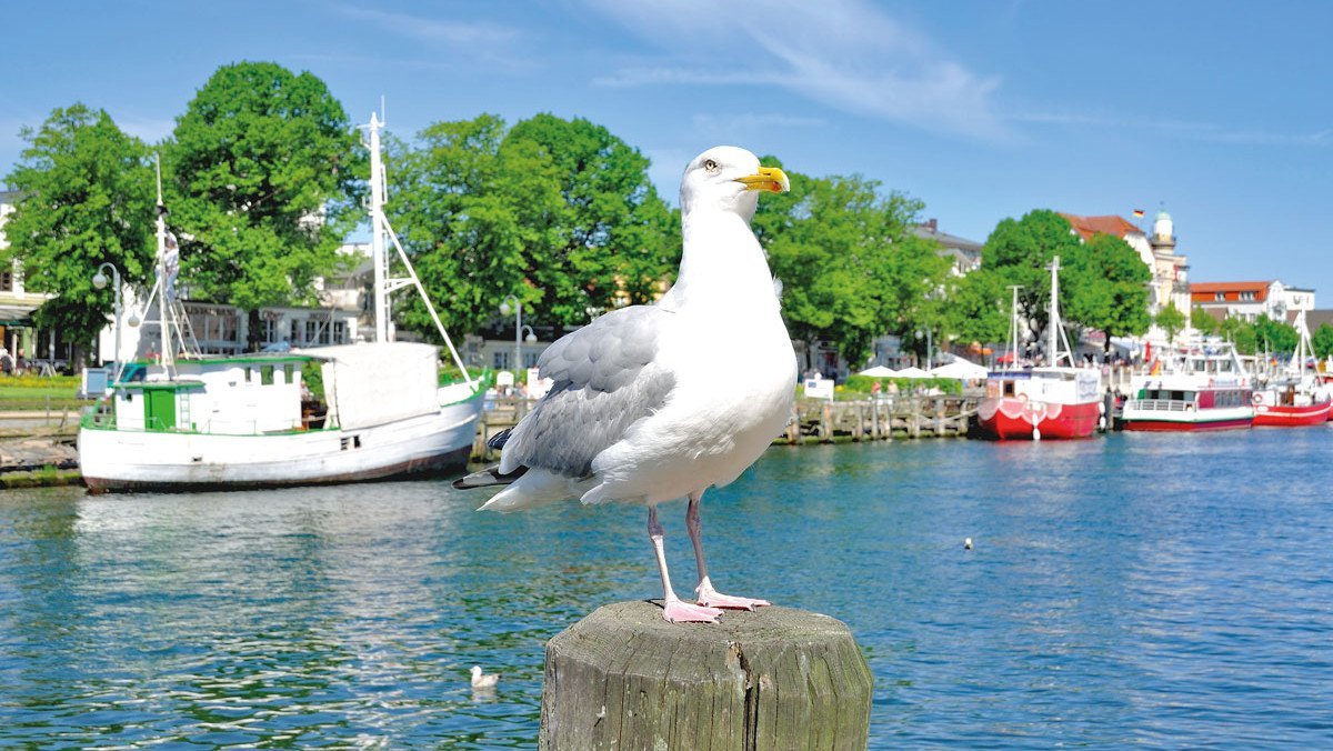 Warnemuende am alten Strom