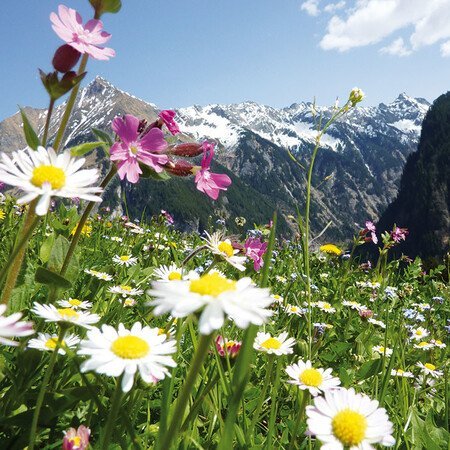 Alle
Programmbausteine
auf einen Blick