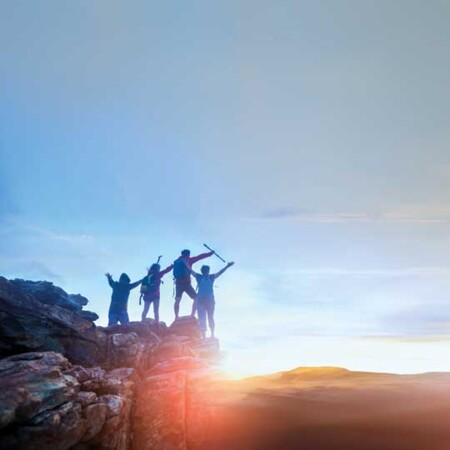 Alle Programmbausteine auf einen Blick