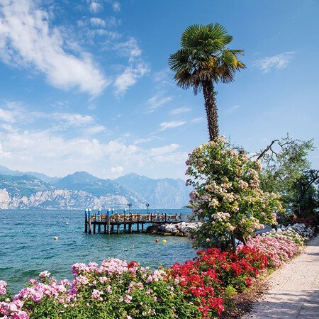 Alle Programmbausteine auf einen Blick