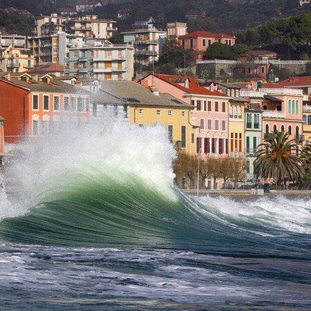 Alle Programmbausteine Blumenriviera auf einen Blick