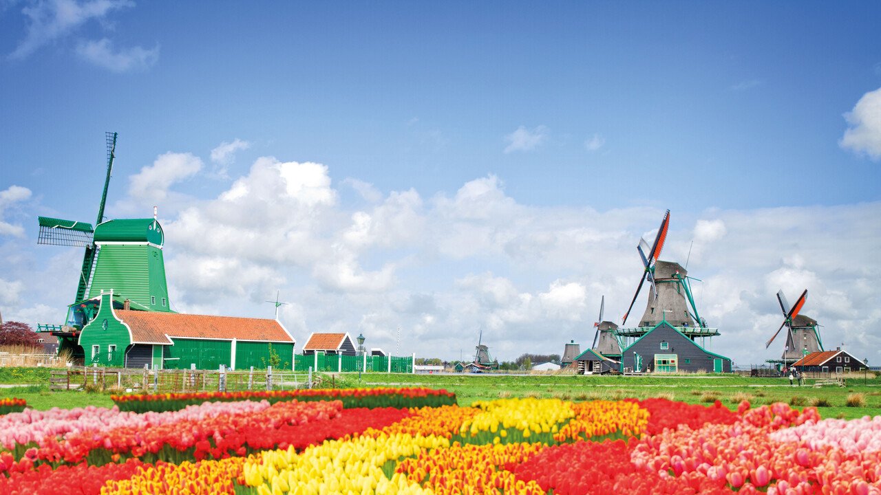 Produktmanager Belgien und Niederland gesucht Düsseldorf aus der Vogelperspektive