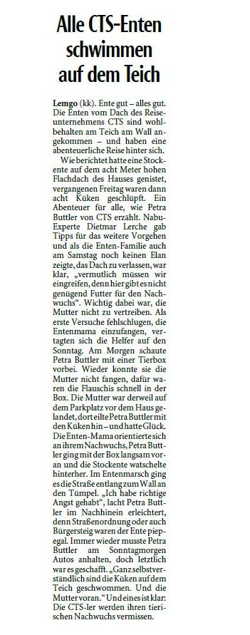 Bericht über die Entenrettung