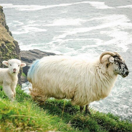 Weitere Programmbausteineauf Anfrage
