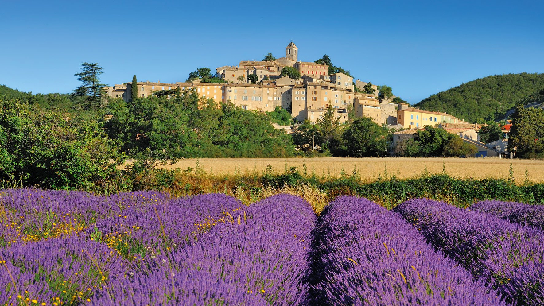 Exkursionen nach Frankreich In der Provence