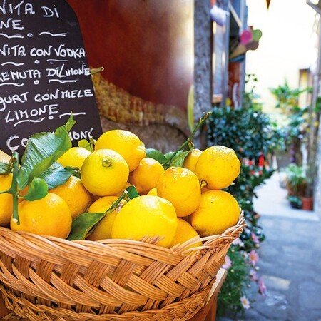 Alle Programmbausteine auf einen Blick