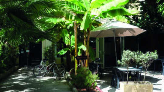 4 Klassenfahrt Nizza JugendherbergelesCamelias Garten 4 Klassenfahrt Nizza JugendherbergelesCamelias Garten