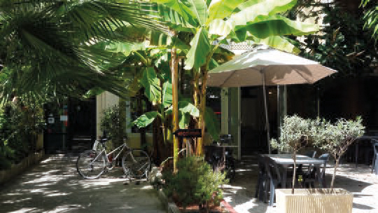 4 Klassenfahrt Nizza JugendherbergelesCamelias Garten