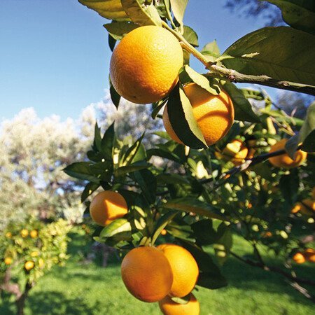 Weitere Programmbausteineauf Anfrage