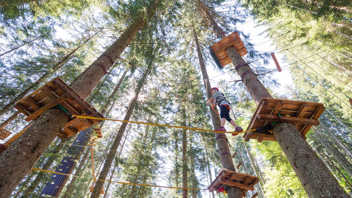 Schüler im Kletterpark