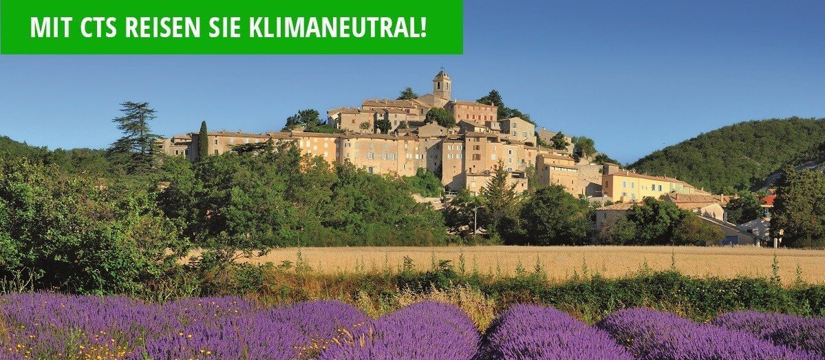 Anfragen maßgeschneiderte Gruppenreisen Blick auf Lavendelfeld mit Burg im Hintergrund
