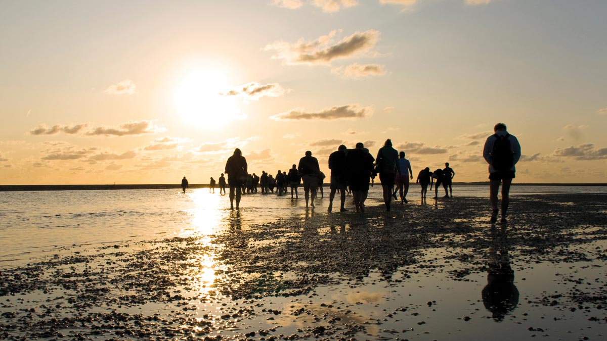 Schüler bei Sonnenuntergang am Butjadinger Strand