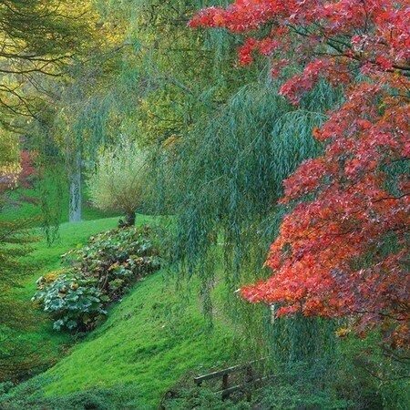 High Beeches Gardens