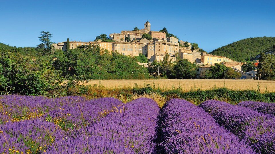 Provence mit Lavendel