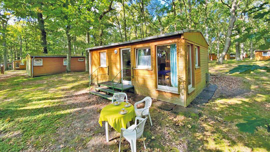 Klassenfahrt Ruegen Wittow Eichenwald Klassenfahrt Ruegen Wittow Eichenwald