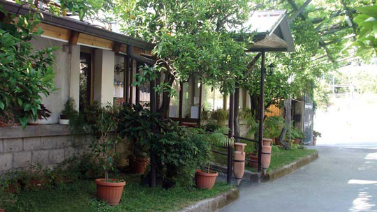 Klassenfahrt Golf von Sorrent Villaggio Fiori d Arancio