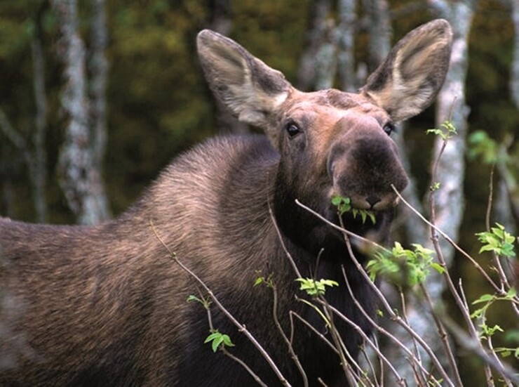 Klassenfahrten Norwegen