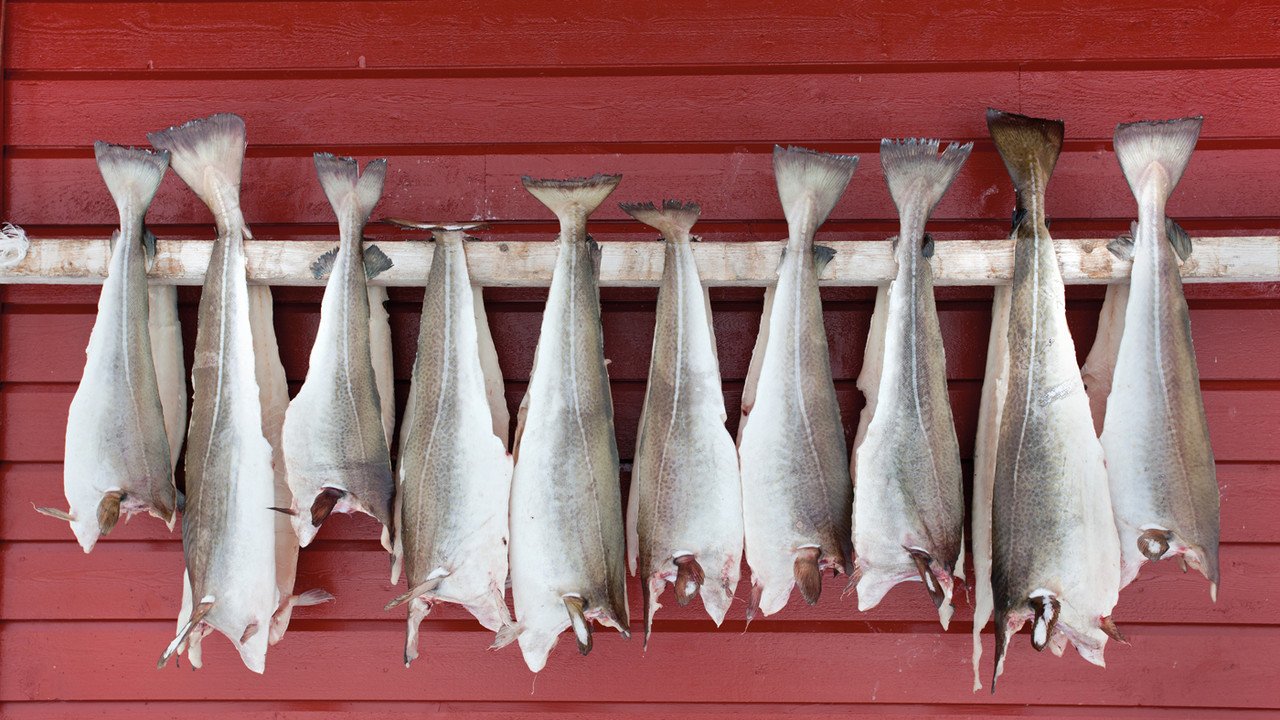 Gruppenreisen Norwegen Stockfisch am Haus