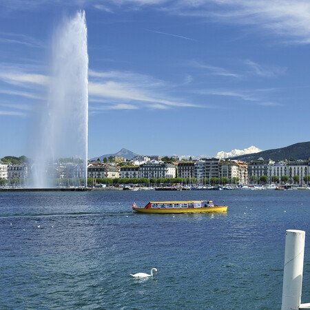 Alle Programmbausteine Genf auf einen Blick