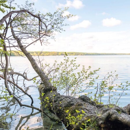 Forschungsfahrt Werbellinsee