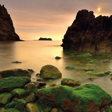 Ausflug Meeresbiologie