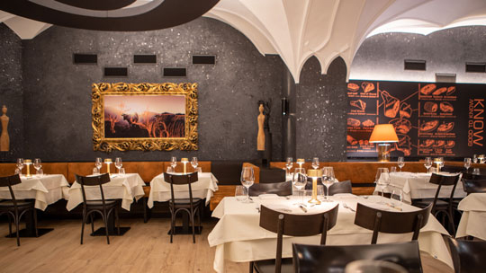 Innsbruck Grauer Baer