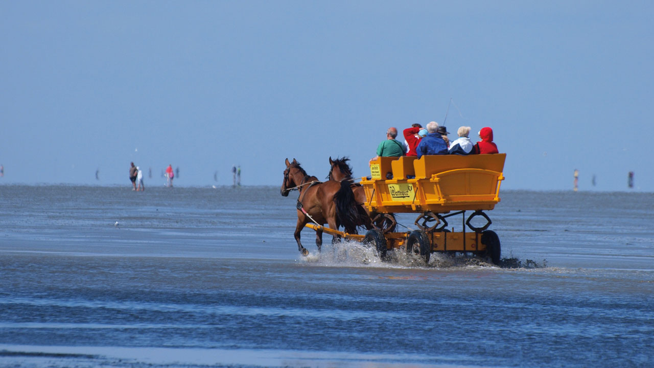 Cuxhaven - Strand