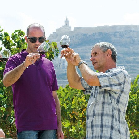 Weinverkostung in Meridiana
