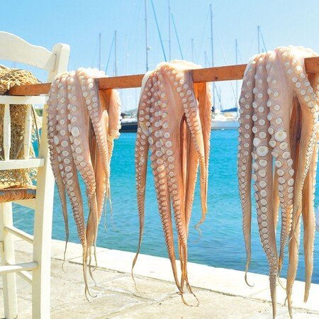 Alle Programmbausteine Chalkidiki auf einen Blick