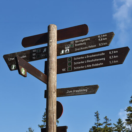 Wanderung im Nationalpark Harz: