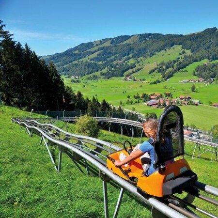 Sommerrodelbahn