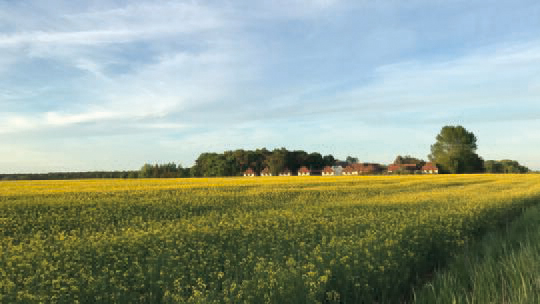 1 Klassenfahrt Rügen FeriendorfUmmanz AnsichtvonWeitem