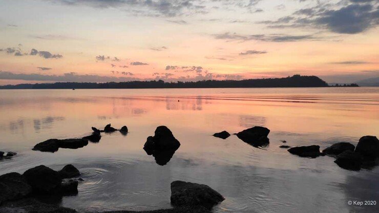 Religionswissenschaften und Theologie