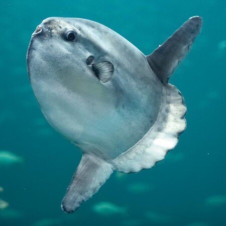 Fischerei- und Seefahrtsmuseum