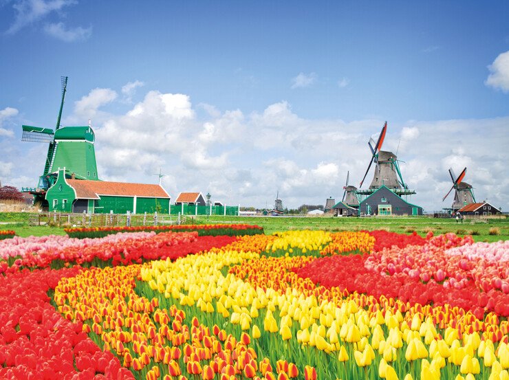 Länderinformationen Niederlande