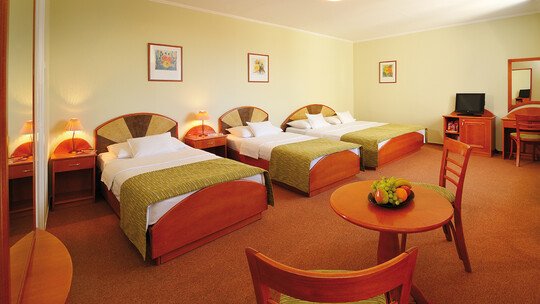 Baross City Hotel Baross City Hotel
