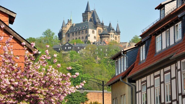 Klassenfahrt Harz / Wernigerode