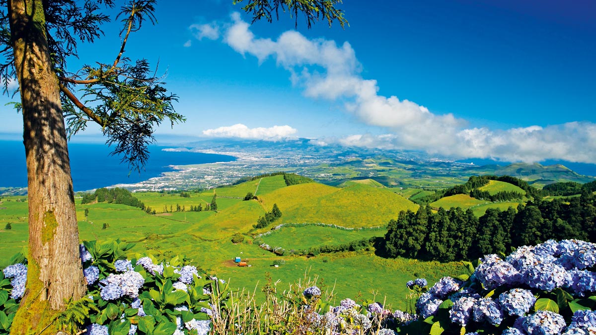 Wunderschöner Ausblick auf die grüne Küste der Azoren